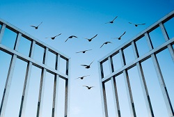"Es ist nicht genug, zu wissen, man muss auch anwenden, 
es ist nicht genug, zu wollen, man muss auch tun."
